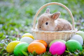 History of the Easter Bunny from Google Images