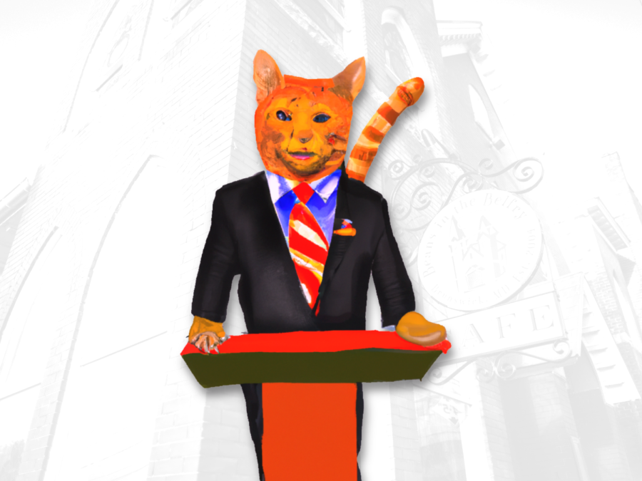 Cats, Politics, And More Government Accountability