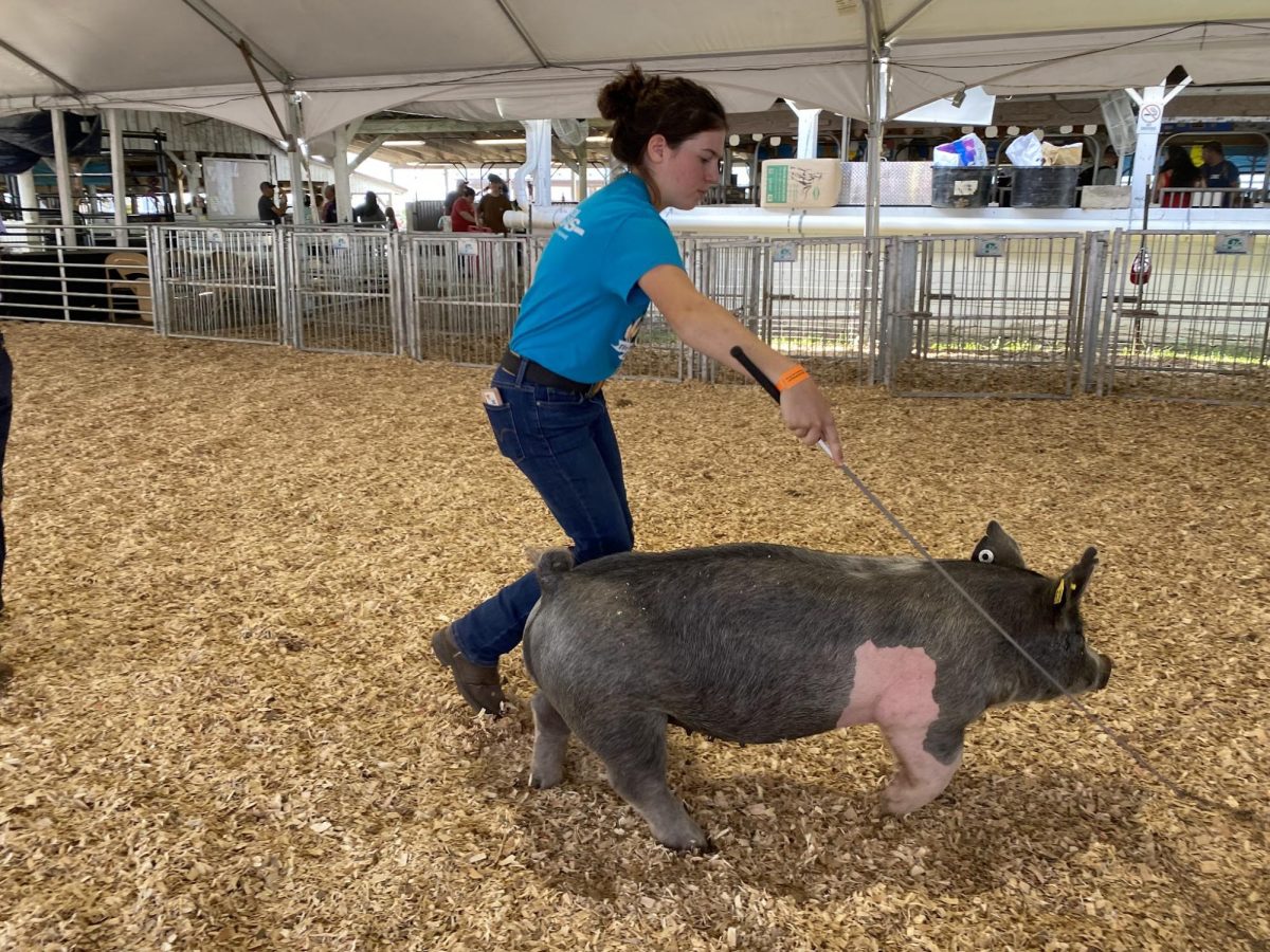 The Frederick Fair, Sept. 2023.