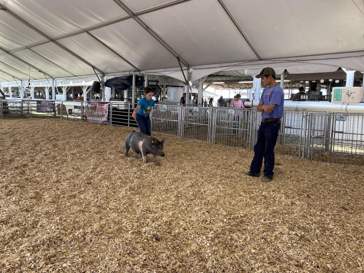 The Frederick Fair, Sept. 2023.