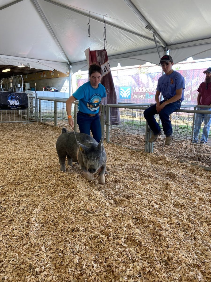 The Frederick Fair, Sept. 2023.