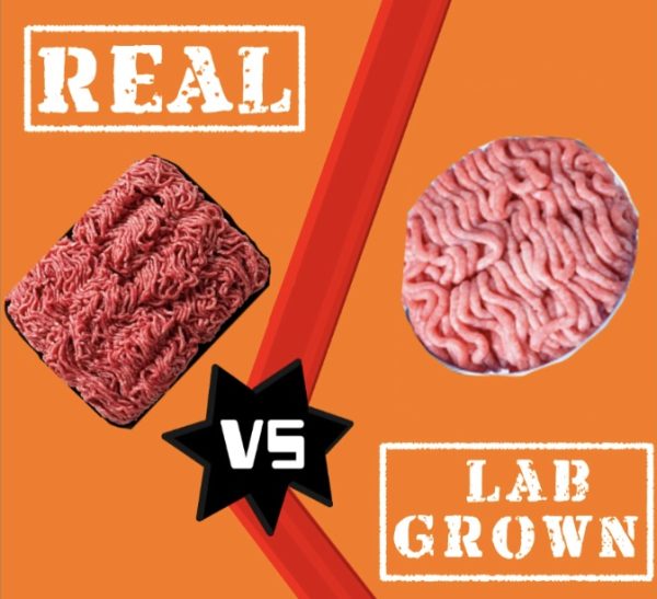 Real Meat vs Lab Grown Meat