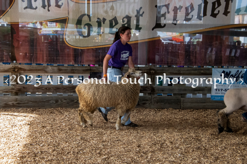 Photos from A Personal Touch Photography from the Frederick Fair, Sept. 2023.