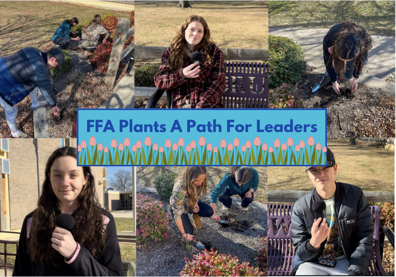 A compilation of photos from FFAs bulb planting as well as interviews taken during the event. Image created with Canva. 