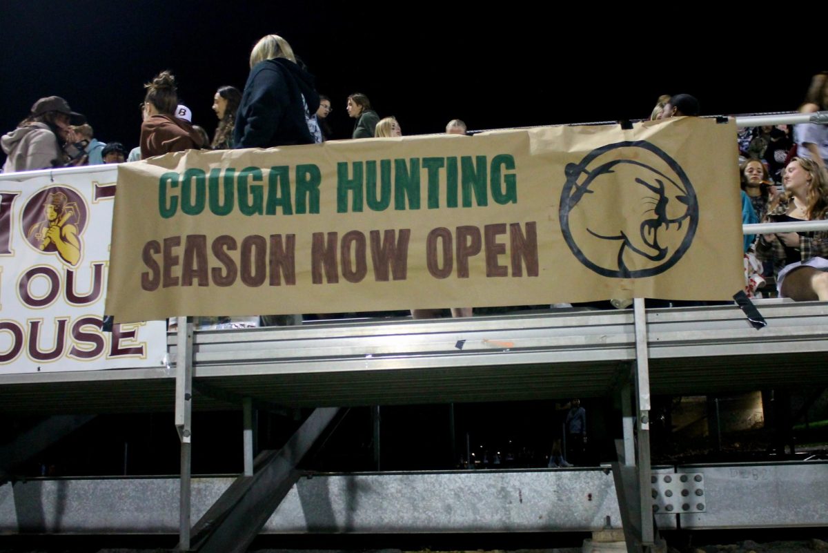 "Cougar Hunting Season Now Open" 