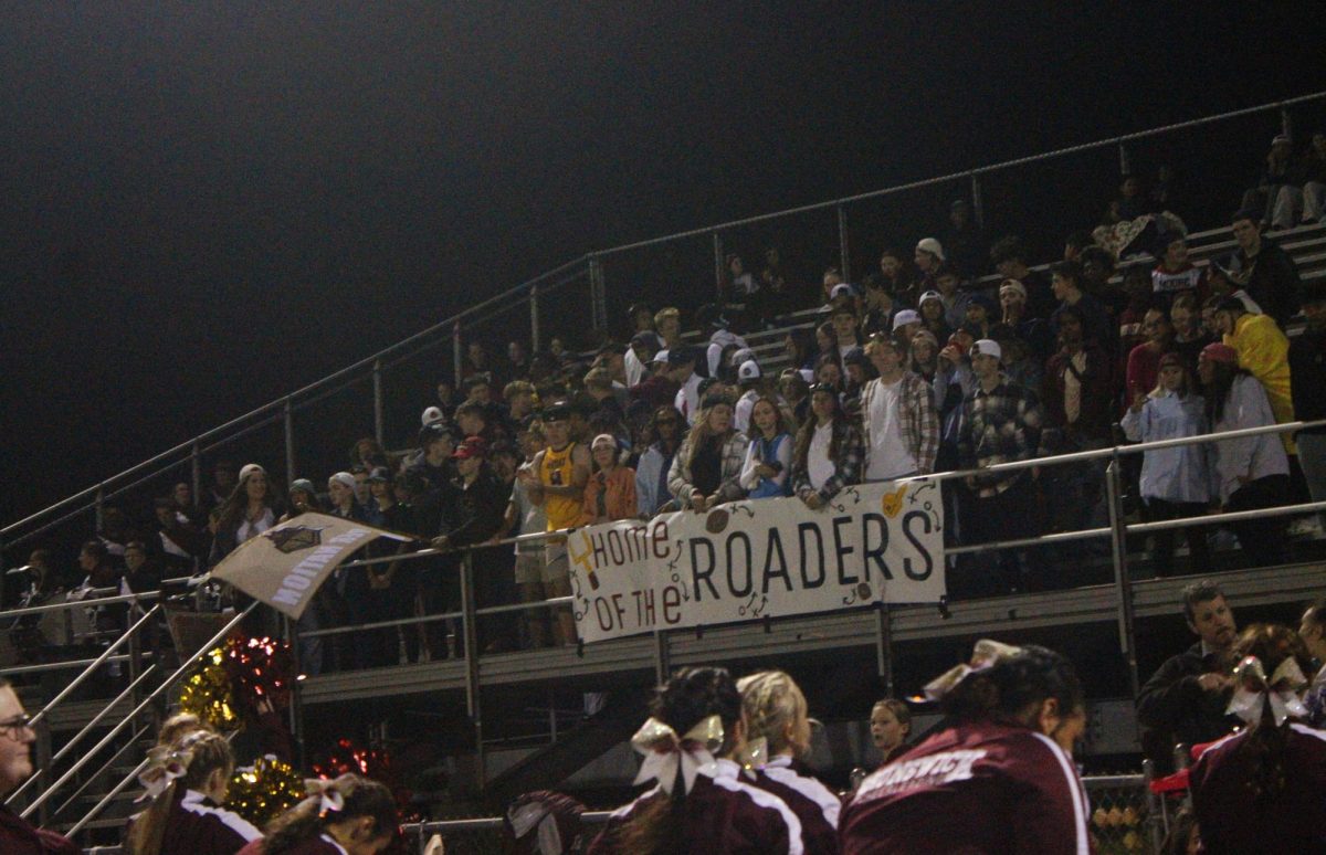 Fans in the station cheer on the game! 