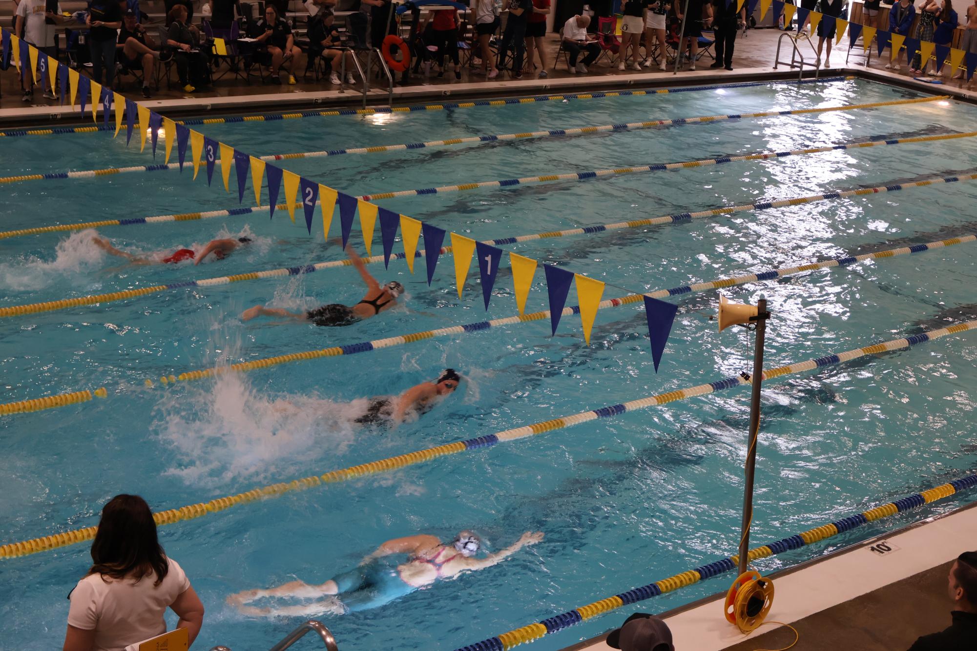 Boys 50 Yard Free