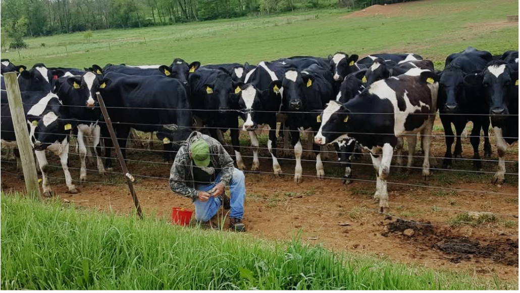 Latino worker working in the farm at South Mountain Creamery. Photo used with permission from Rene Garcia.