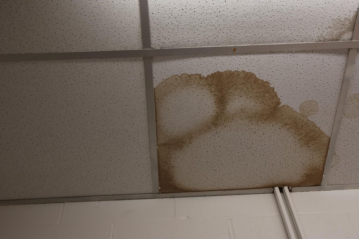 Water stains/mold
