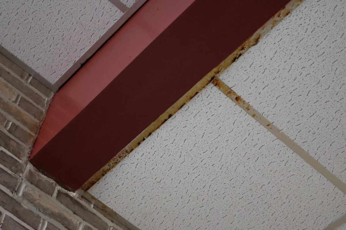 Mold