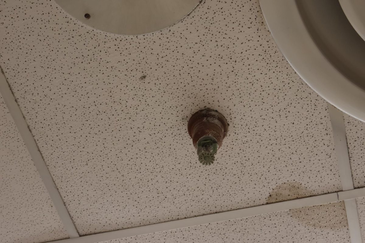 Rusty sprinkler head