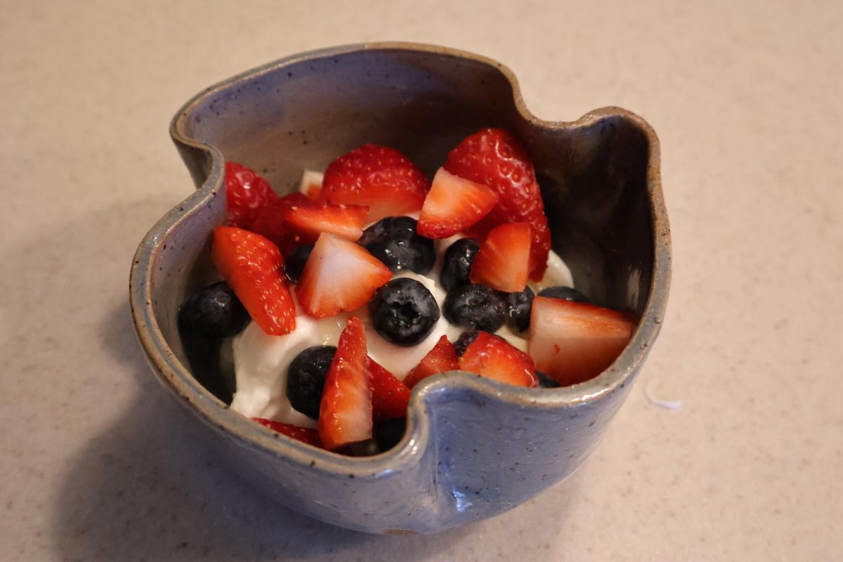 Bowl of yogurt and fruit.