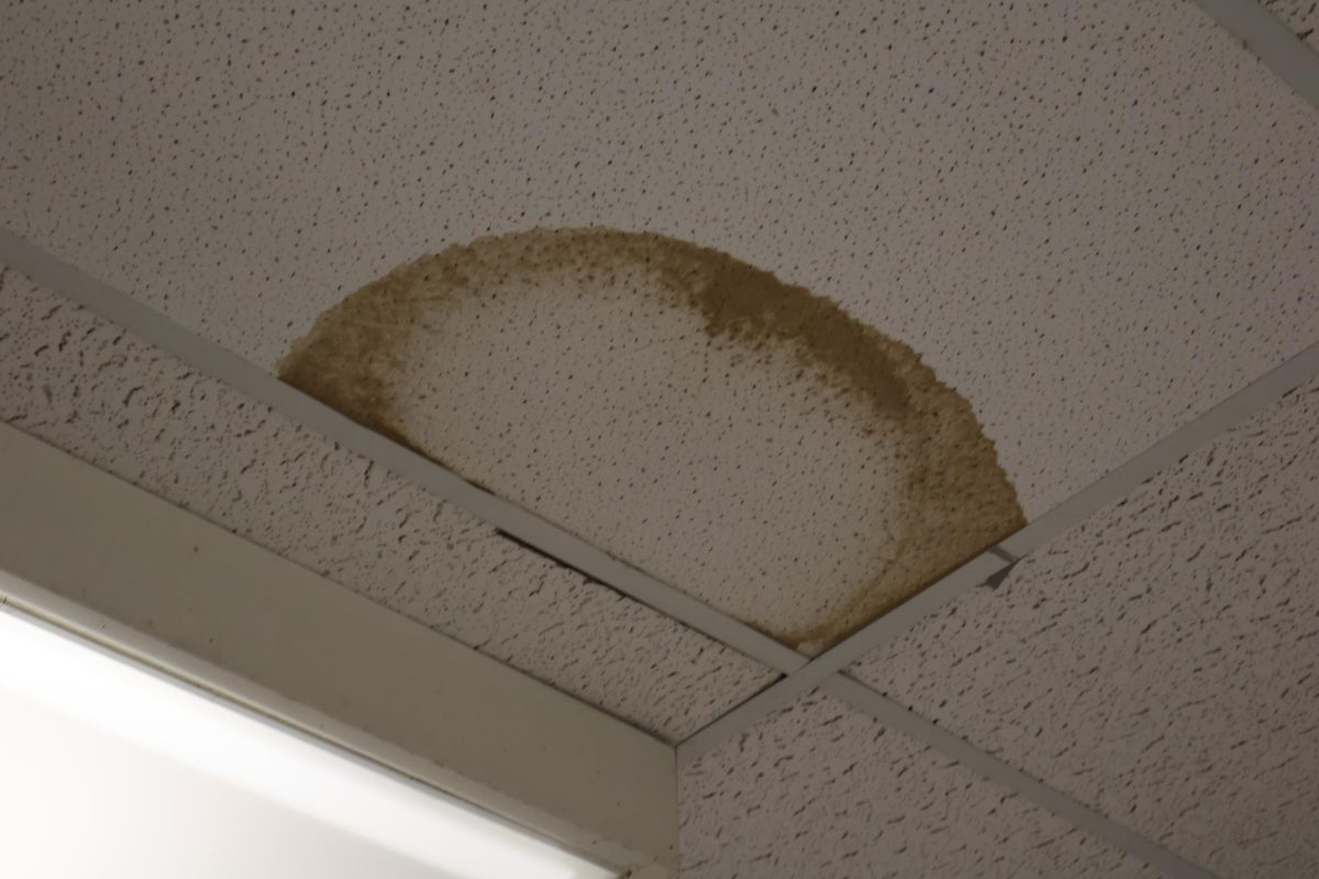 Ceiling tile water/mold stain