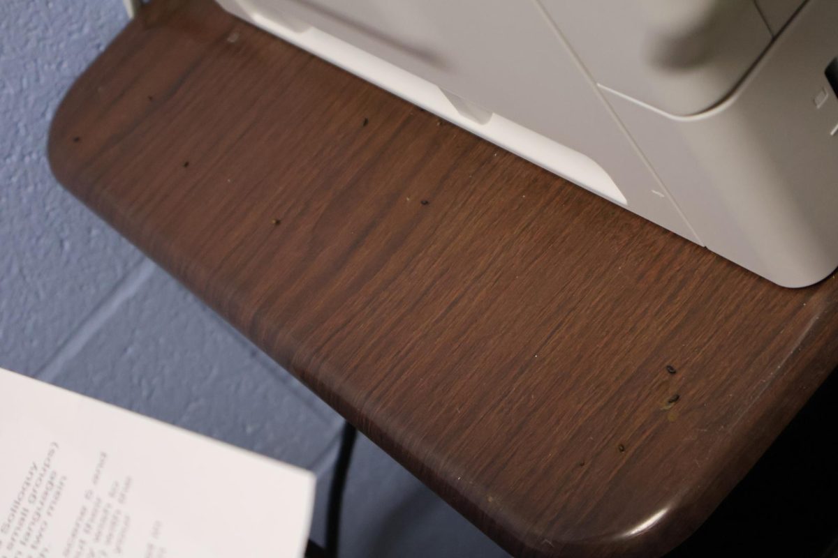 Mouse droppings