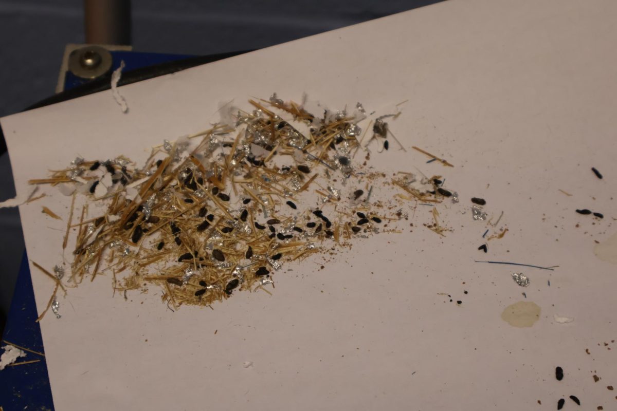 Mouse nest