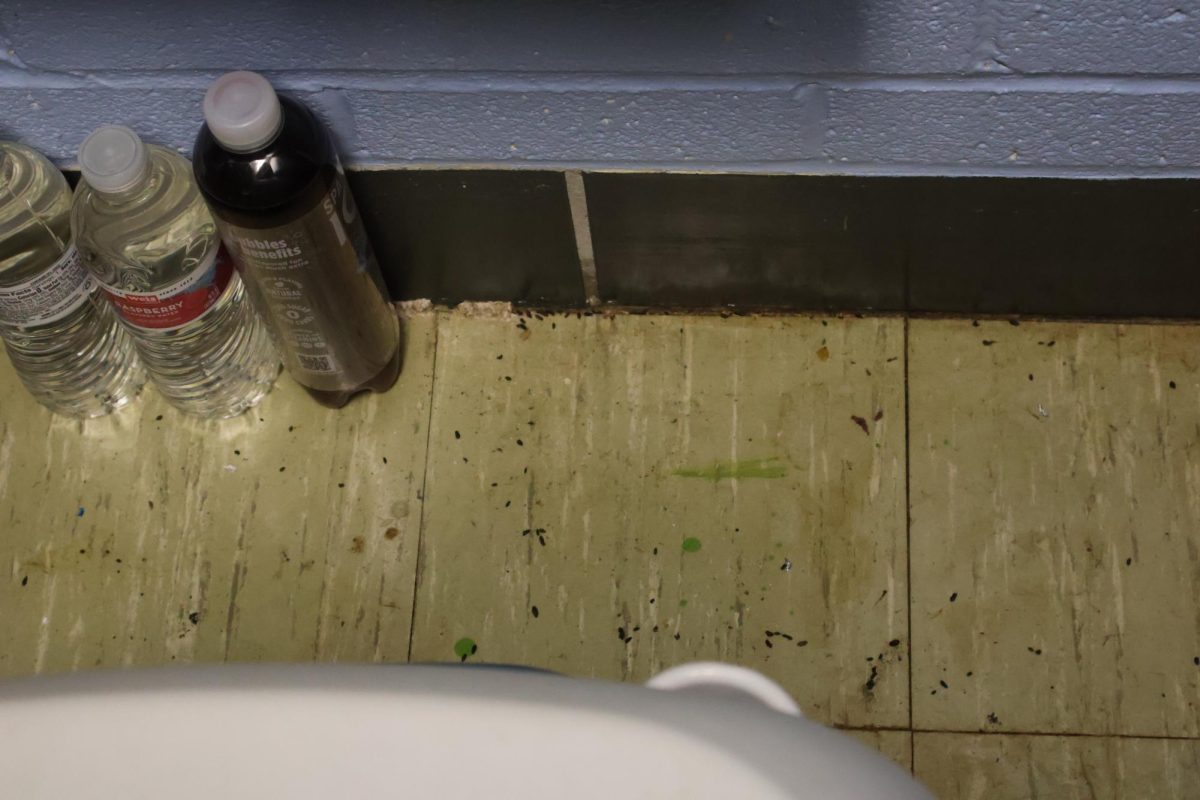 More mouse droppings