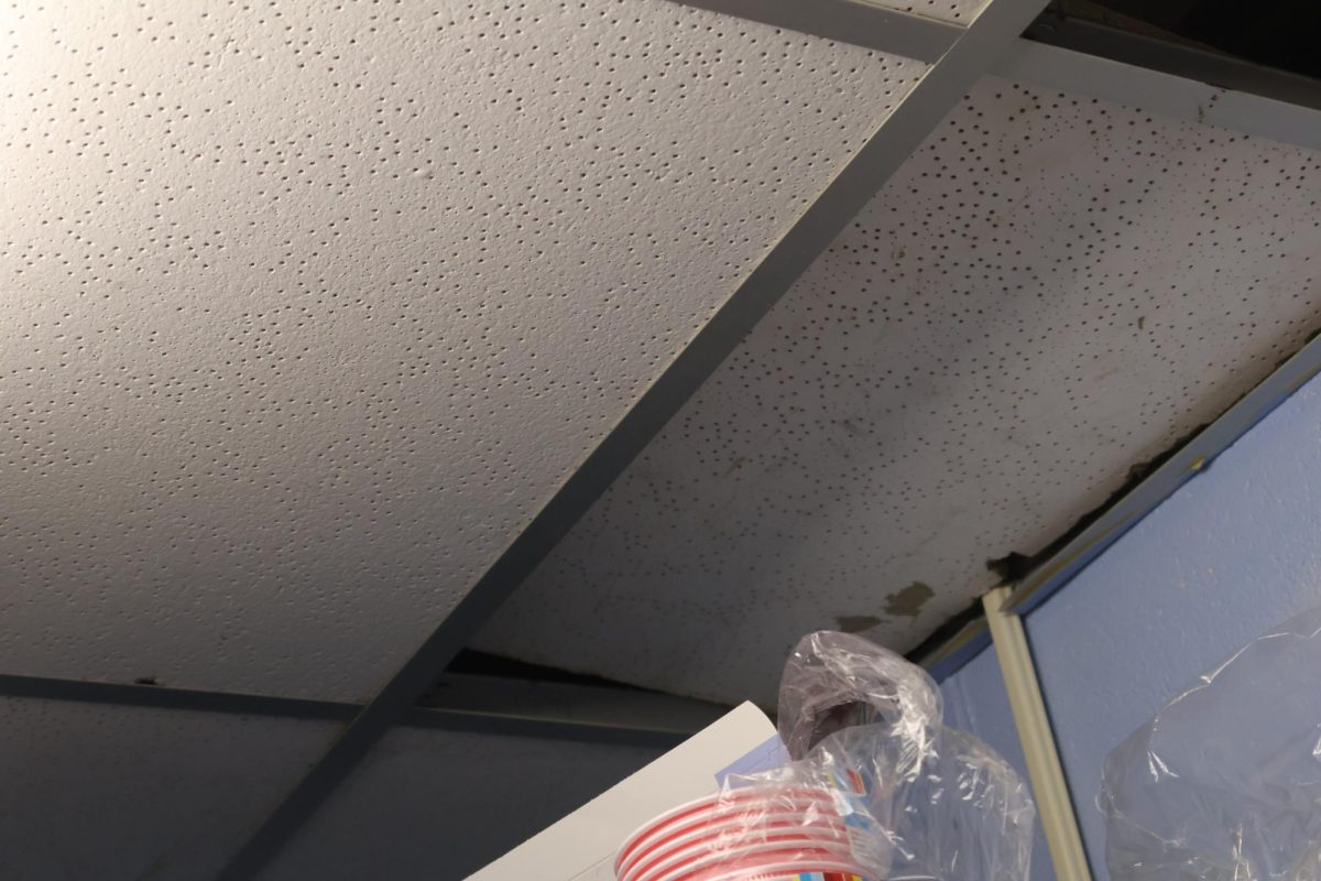 Loose ceiling tile