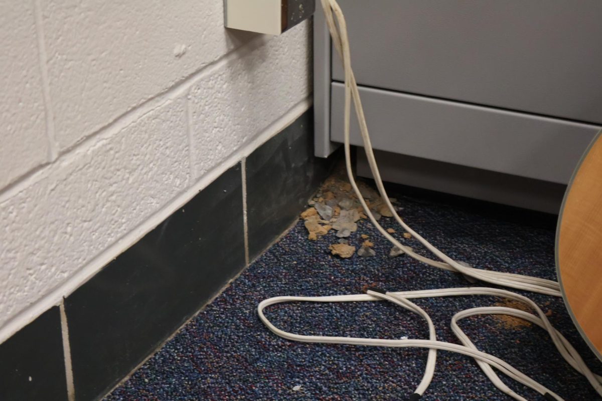 Mouse hole