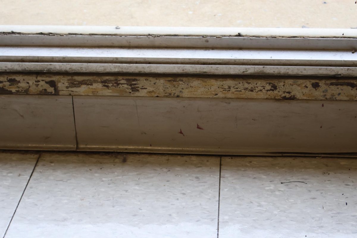 Mold