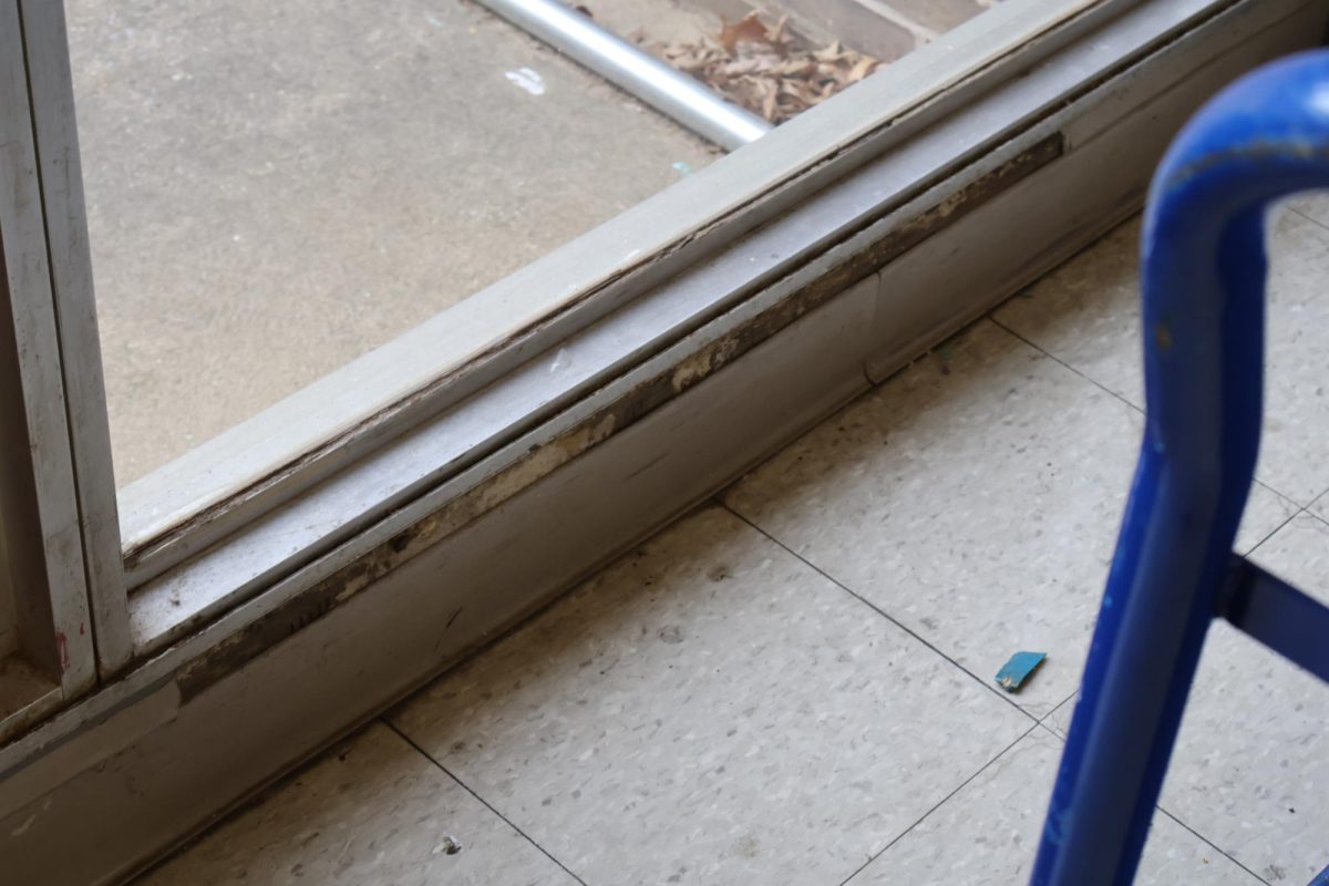 Mold