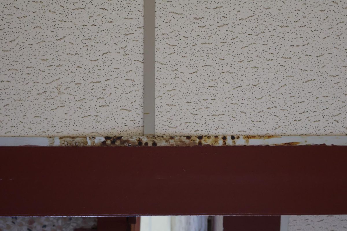 Mold