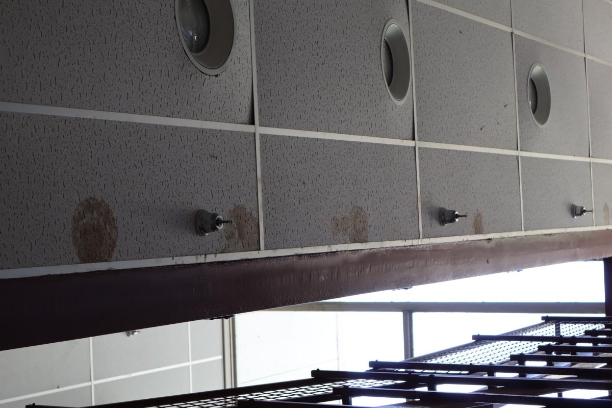 Patches of mold up where the sprinkler system is. 