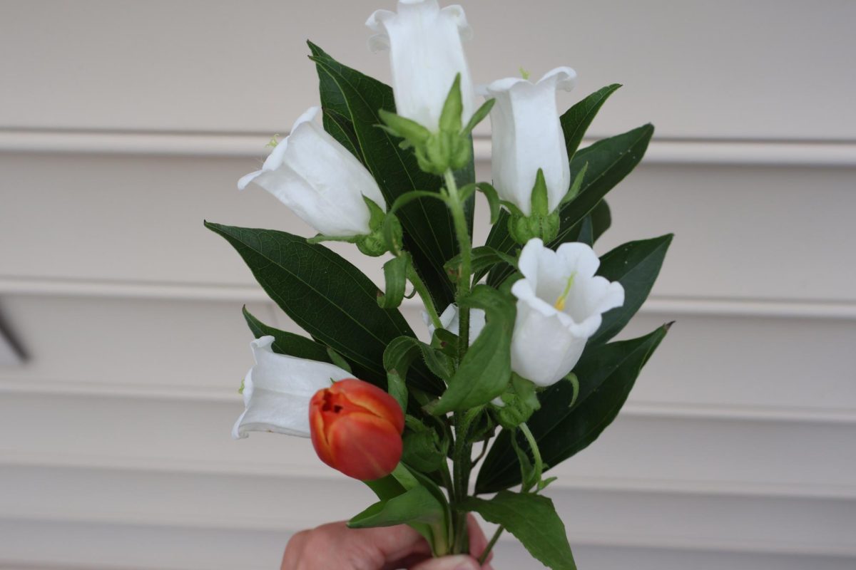 The second step is to start placing flowers together in a way you prefer. Flowers can go in any order, be creative. The video goes in deeper on having good placement.