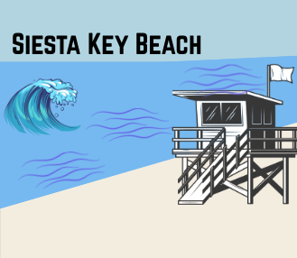 Siesta Key Beach, Florida.
Made in Canva.