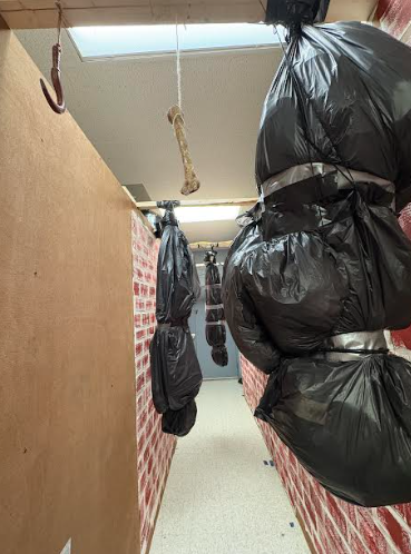 Sneak peak of one of the hallways that features body bags and a few other scares. Still in the process of finishing in this picture.