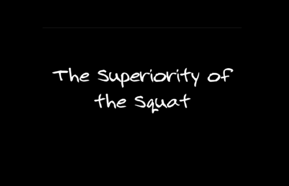 Squats are one of the most important functional and efficient compound movements in exercise. 