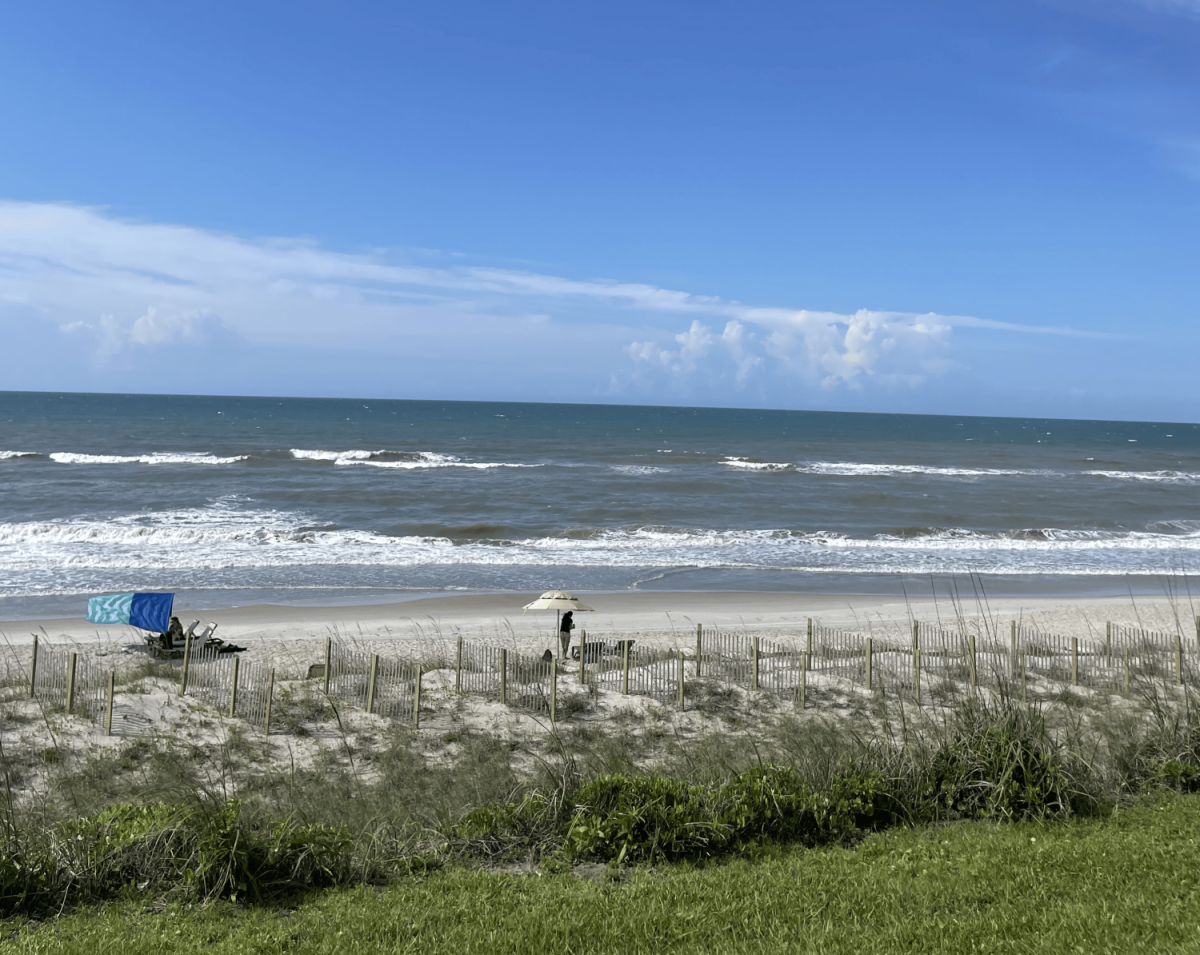 Going to the beach is a good way to have fun, and spend time with family and friends, or to just relax on your own.